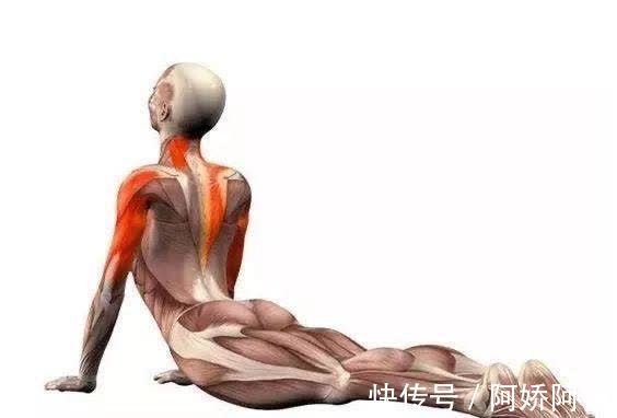 脊柱|如果你做后弯腰疼，腰不好还想练后弯，这篇文章一定可以帮到你