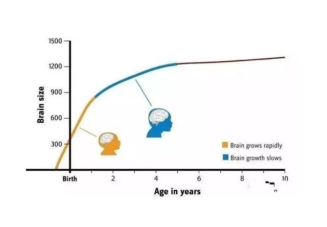 宝宝|“天才宝宝”的几个小特征,你家娃娃有吗?家长可自行对照
