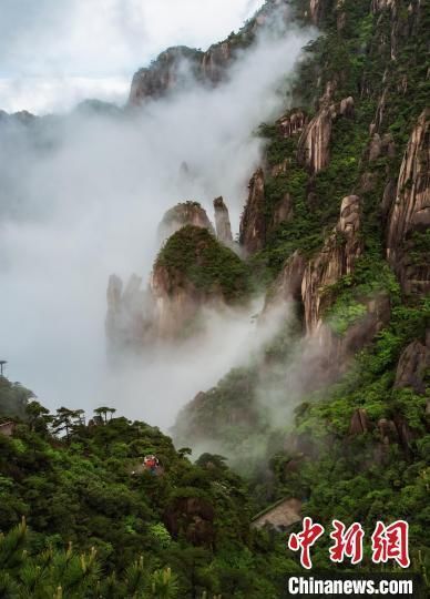 遗产|雨后江西三清山现壮美云海景观 云缠雾绕充满仙韵