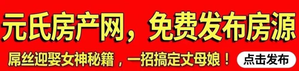 正是|元氏深山里藏着一棵千年银杏树，现在正是满树金黄时