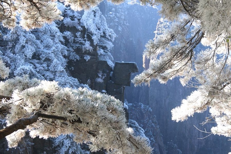 黄山风景区|零下10．3℃ 安徽黄山现大面积雾凇景观