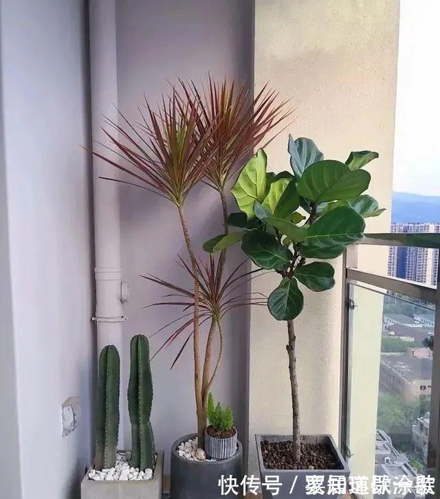 红砖|别再用红砖包水管了,想要家里更美观要这么做,只需10块钱材料费