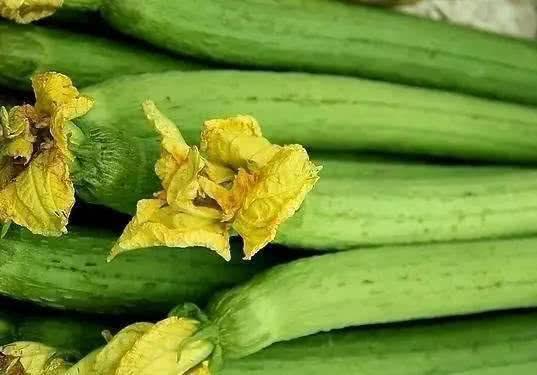 丝瓜|会吃的人更健康，四种食物坚持吃，美容养颜、延缓衰老，早吃早好