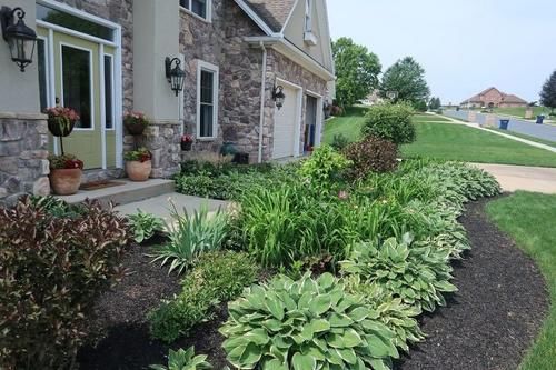 在阴凉处适合养的几种植物,养花盆里和养树荫下有啥区别?