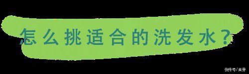 几天没洗头了?零掉发洗发大法来了