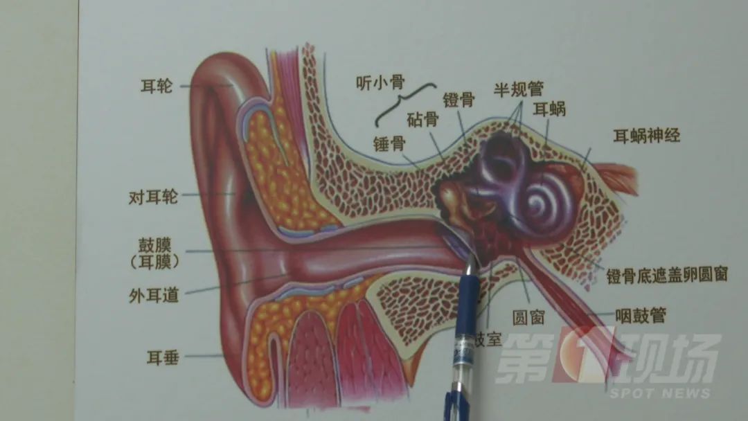 杀虫剂|女童睡梦痛醒，耳中竟取出活物！近期多发