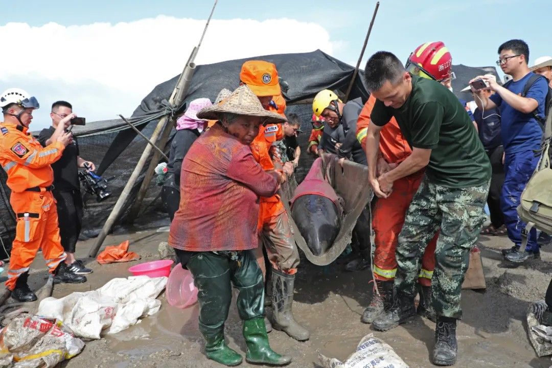 营救|你无法想象，这场生死营救他们有多拼……