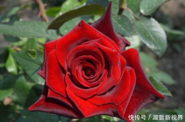 俗话说人在做,天在看,多做4件积德事,晚年必将长寿又多福!