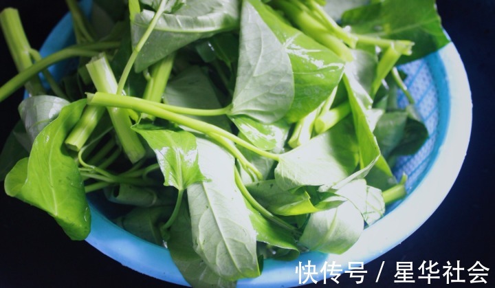 食欲|又到了吃空心菜的最佳季节,炒出来脆嫩爽口不发黑,很有食欲