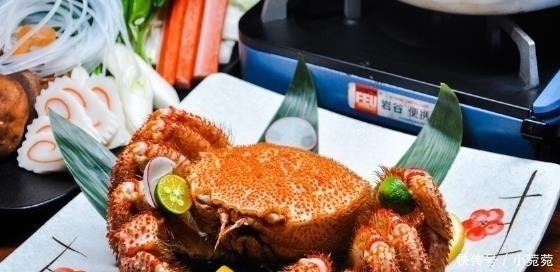 来自|世界上最贵的4大海鲜,第一名来自中国,但国人却几乎很少见过