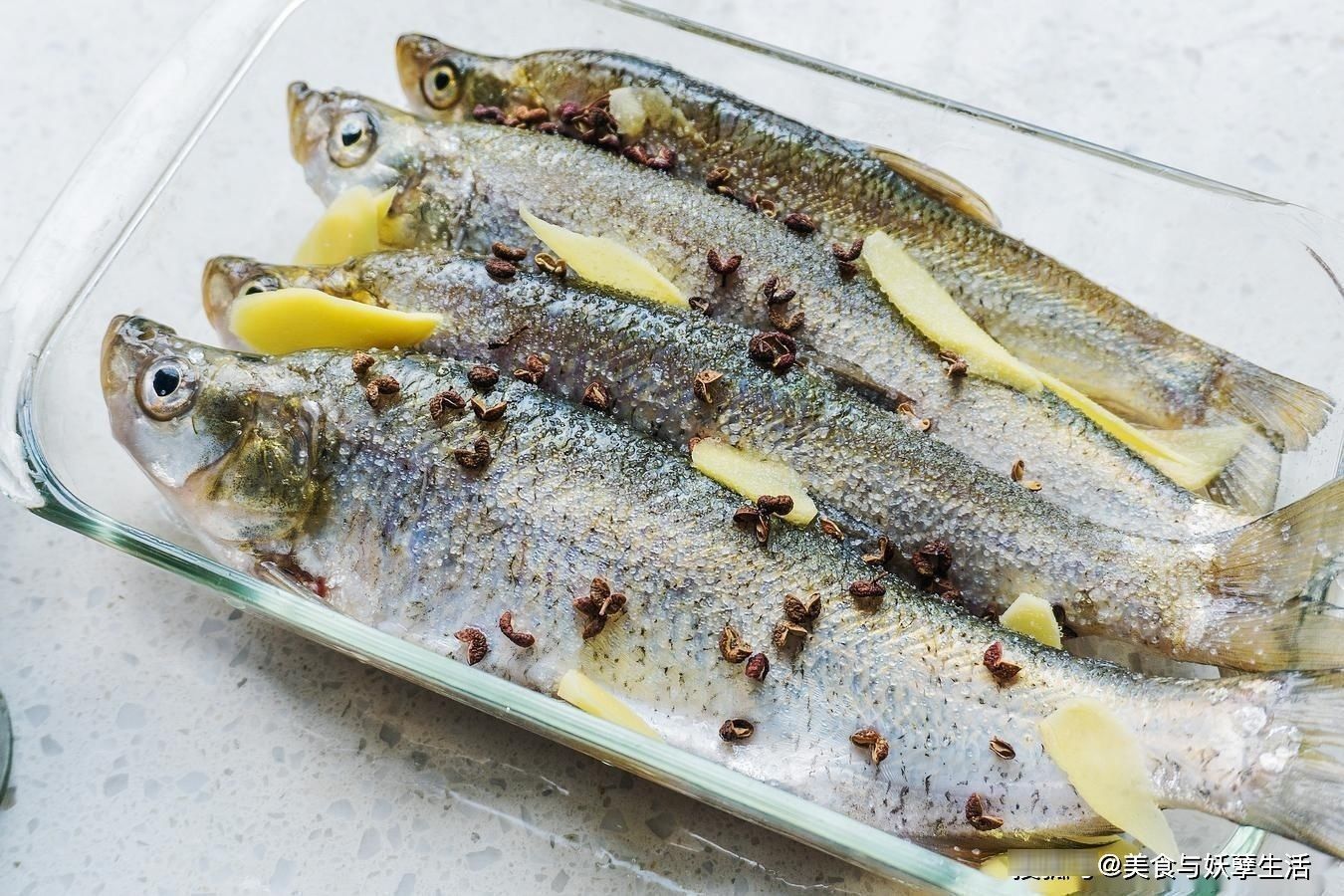 菜市场碰到这鱼，一次买5斤，10元一斤，比吃鲫鱼更营养更美味