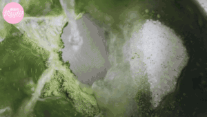 抹茶奶冻阿达籽