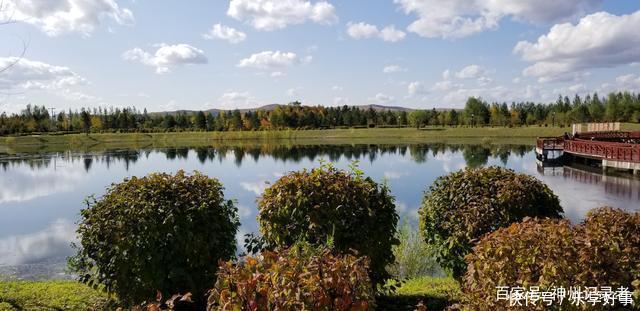 儿时的草甸是那样情趣