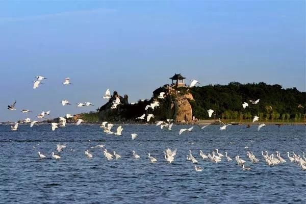 中年|河北唯一拿得出手的海滩，夏季绝美又清凉，全家旅行首选