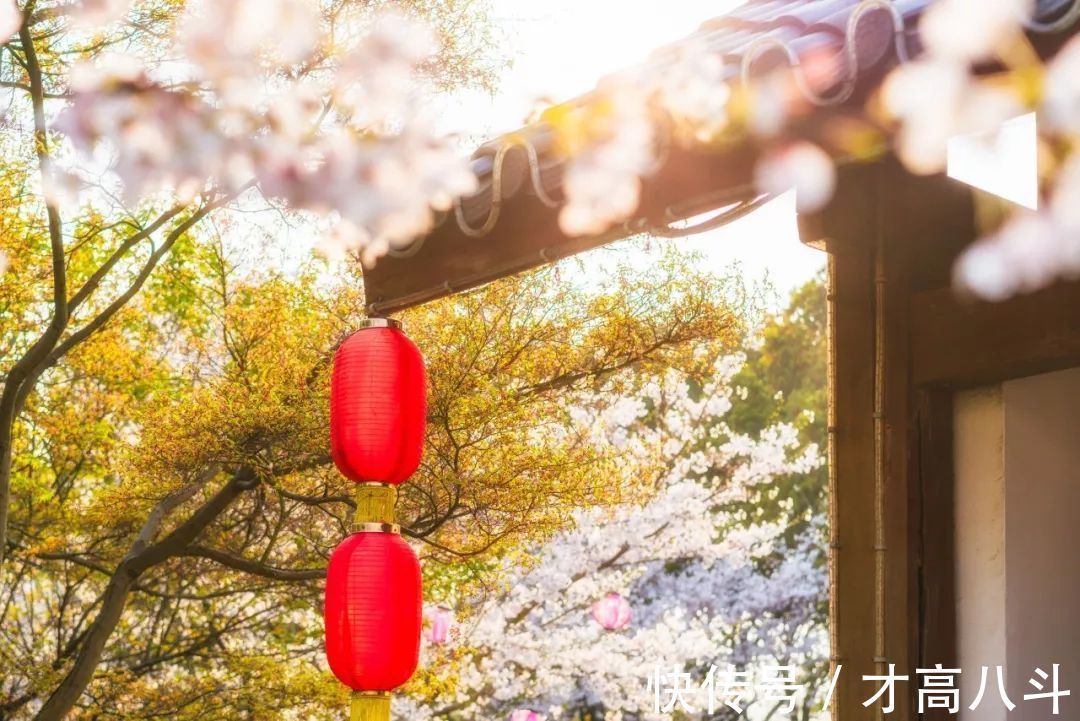 淮中晚泊犊头@20首春雨诗词，一朝春雨过，万物皆清明