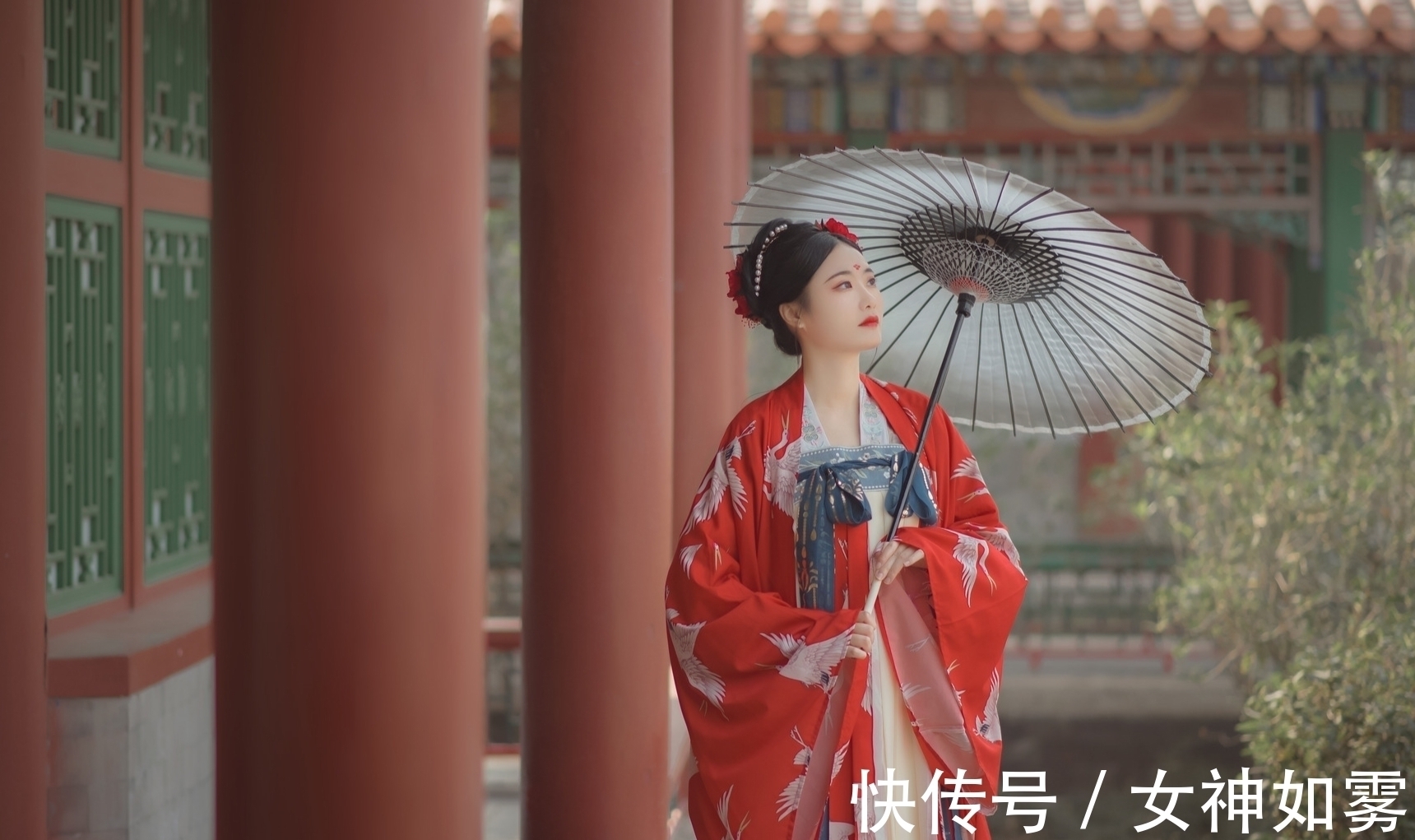 金枫!诗·八首丨淤泥深处寻佳偶,嫁与清香捧玉来