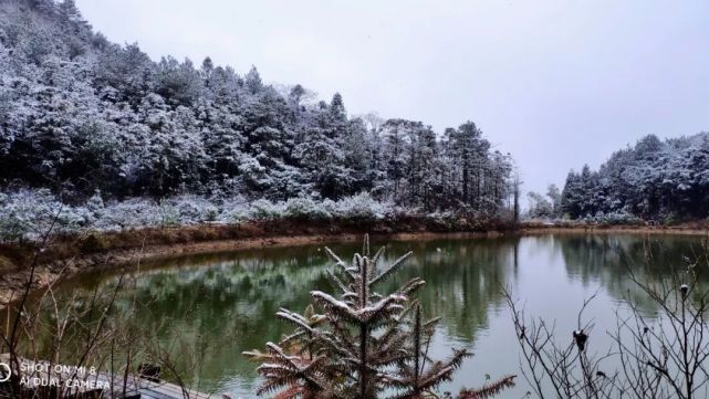 第一场雪|盛会逢瑞雪 期盼新丰年