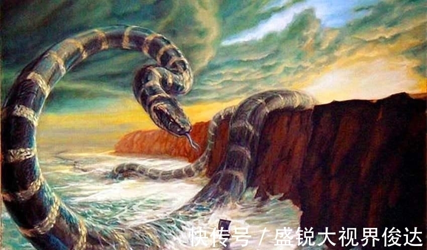 龟壳!古墓发现神秘龟壳,这是美洲的地平龟,《山海经》再次被证实