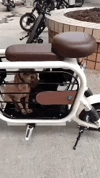 |搞笑GIF:为什么小时候一个包子就能解决问题, 长大了非要房子和车子解决呢?