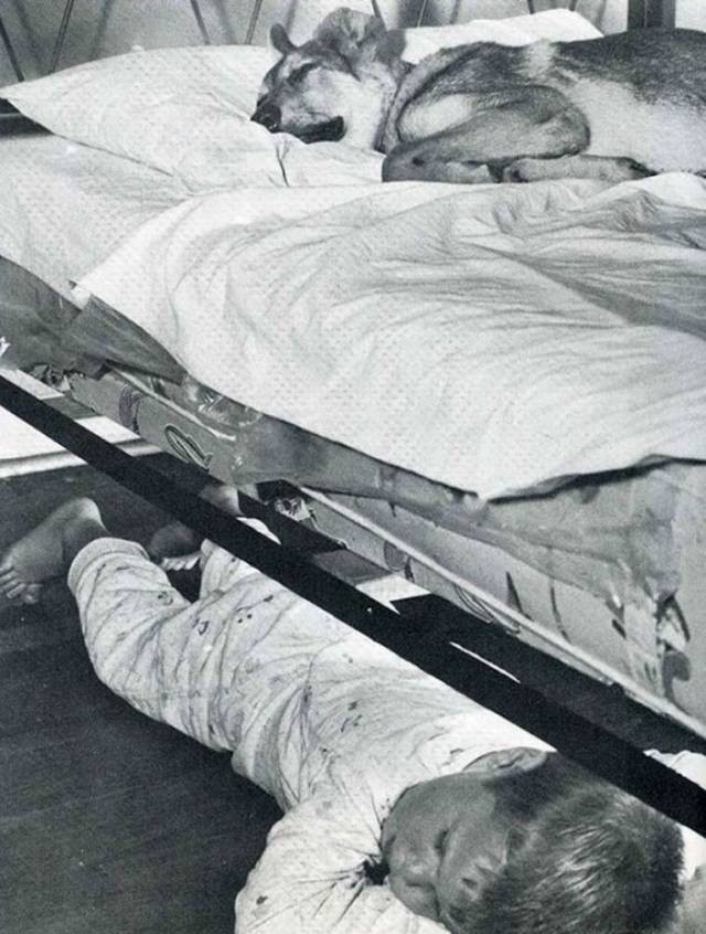 ps|29张没有ps的历史照片，看完第1张就泪奔了………