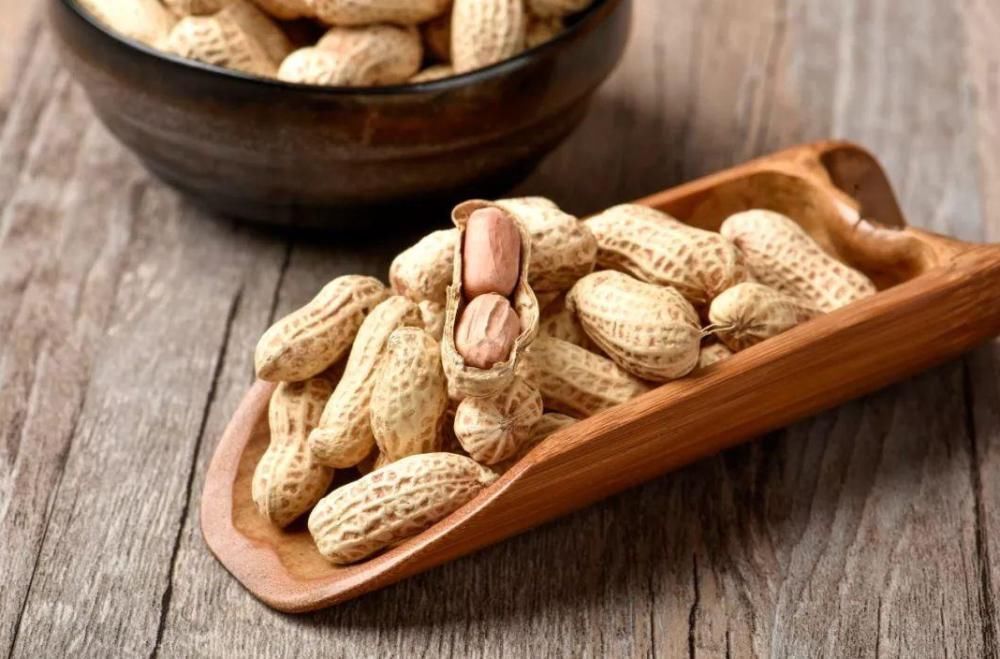 养花离不开花肥,怎么正确发酵花生壳?一共三步,一步不能少