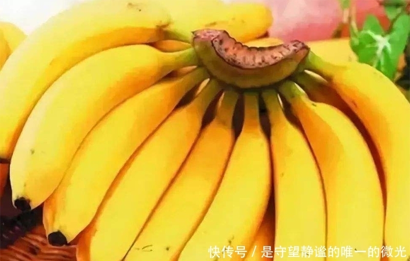 影响|婴儿可以吃香蕉吗，有何影响？