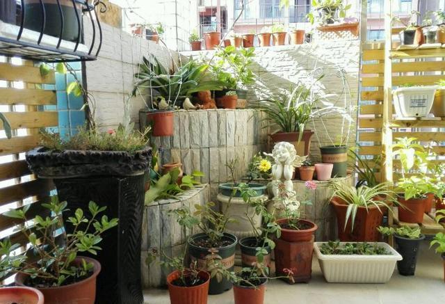 空隙|养花土不用买，3种“垃圾”掺一掺，就是营养土肥沃流油，养花棒