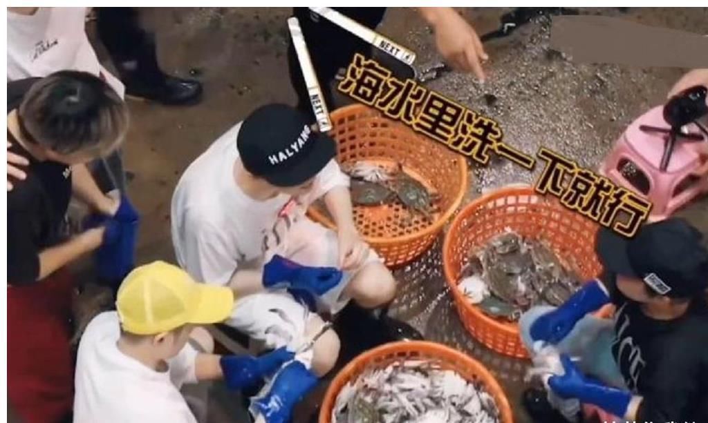 黄渤 鹿晗手被螃蟹夹,黄渤、陈赫落井下石,最惨的是被大家当傻子