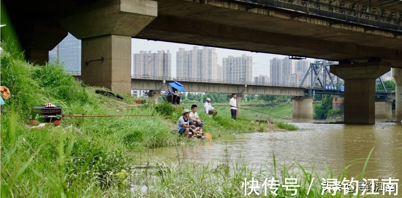 钓鱼|暴雨涨水好钓鱼？别轻易相信。老司机倾情透露这几点，别再错过了