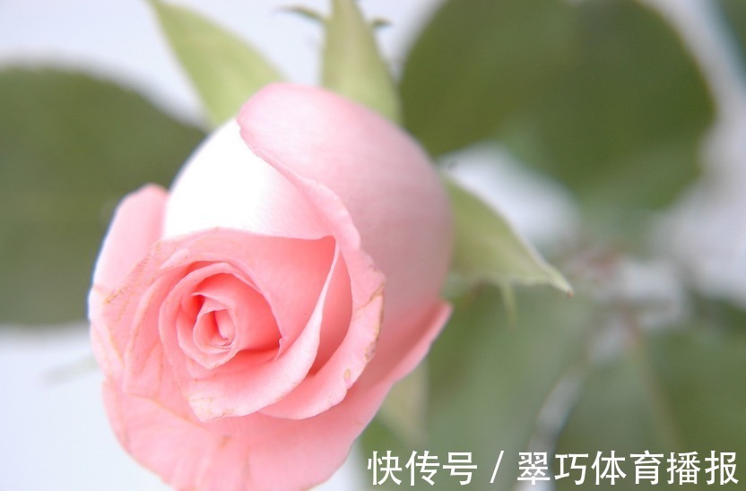 行动派|“把老婆当宝贝的”3大生肖男,对妻子很疼爱,女人要了解