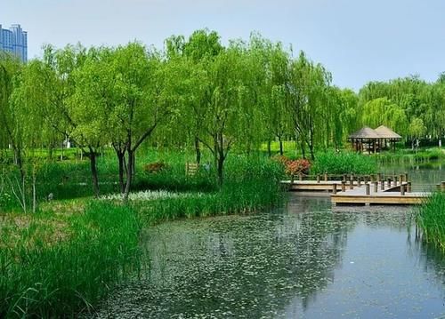 山东又一免费的公园，风景不输“趵突泉”，被誉济南的“后花园”