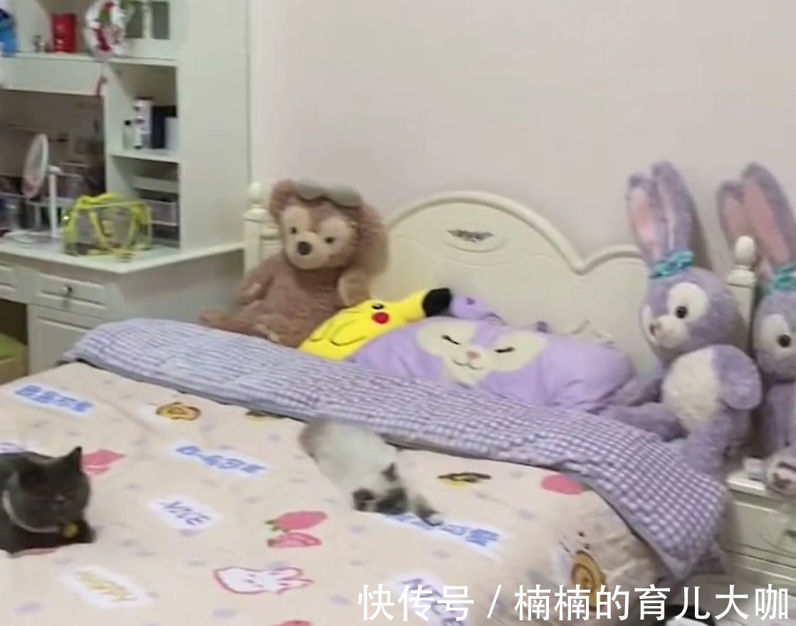 房间|看完姐姐的房间，再看弟弟的房间，妈妈吐槽：不能让我失望一次？