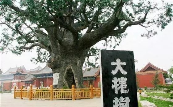 如今|大明灭亡后,一群遗民躲入深山里,如今宣称自己才是最纯正的汉人