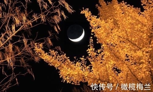 水生#南北朝的两首诗作,技巧高超,唐代张若虚的名句也曾脱胎于此