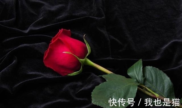 生肖|7月27号后，运势大吉大利，3生肖财气横生，一路旺到新年