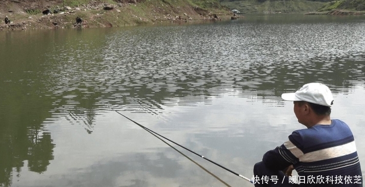 钓饵|享受连竿的乐趣,野钓白条的技巧