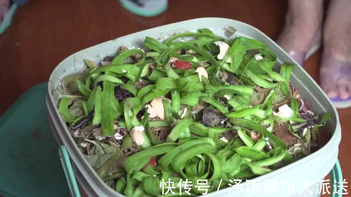 养花|三个养花小妙招,枝叶旺盛开花多,肥料以后用不到了!