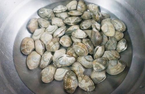洗蛤蜊时，不要只用盐，教您一招，蛤蜊干净无沙放心吃，很实用
