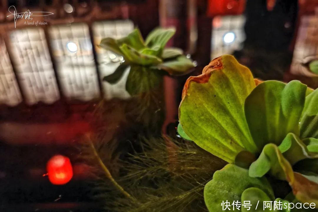 热闹|这座处于深山中的民宿,不只宁静安详,也有其热闹的一面