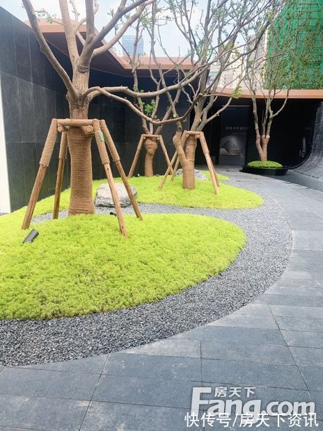 楼盘|长投保利汉口印新拍现场图片，实时了解楼盘新动态