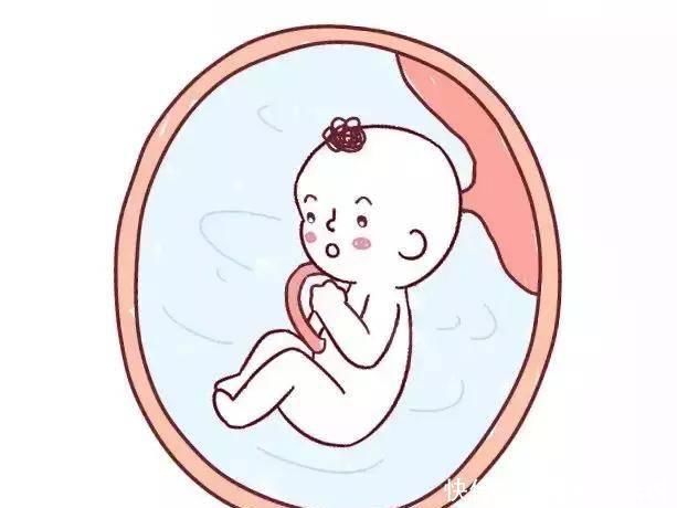 答案|为啥你怀孕3个月就显怀了，别人7个月才显答案不过就这几种