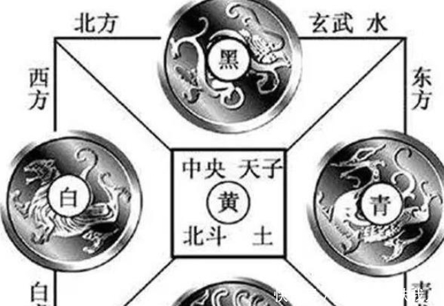右白虎|左青龙,右白虎,前朱雀,后玄武,中间谁来镇守?