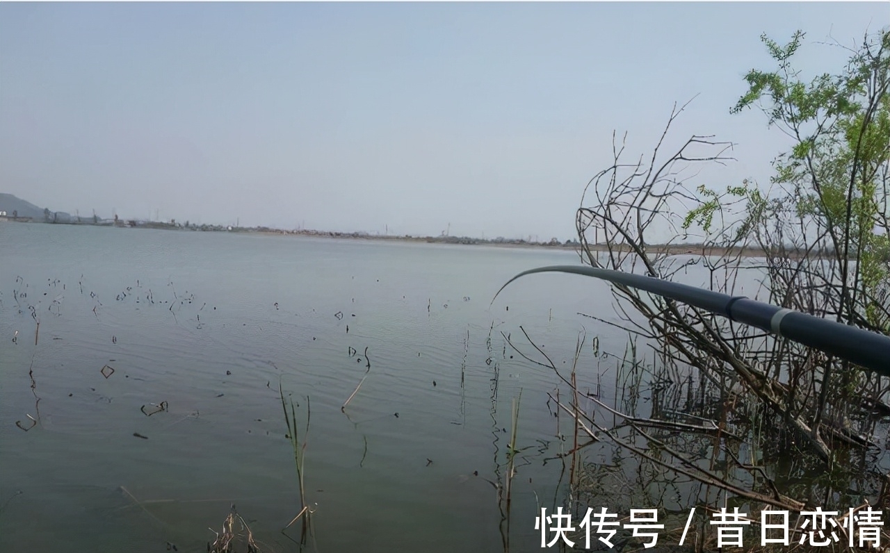 鲫鱼|钓友们冬钓鲫鱼选钓位,既不可死板教条,又不能走极端