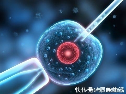 不孕不育|试管婴儿是“万能”的吗?你该知道试管的代价!