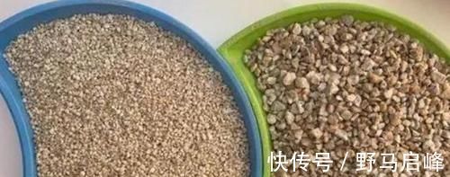 新手养花盆栽土里就掺杂它,土壤不结块,花草不闷根、烂根