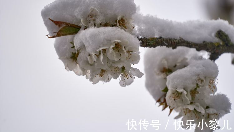 强大|很少弱点，实则强大的星座，有些时候，他们明明看破，却不会说破