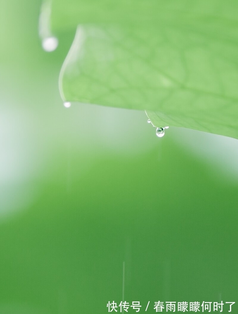 缃帙乱！一窗冷雨，一枕新凉，谁看尽旧时书，谁洒尽今生泪