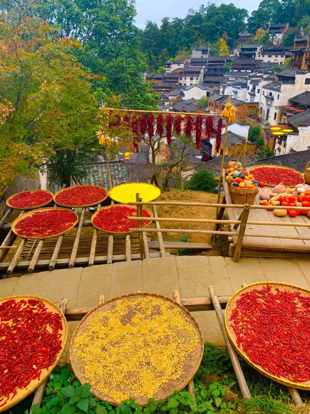 徽州|夏天成了故事 秋天已成风景 秋色徽州等你来