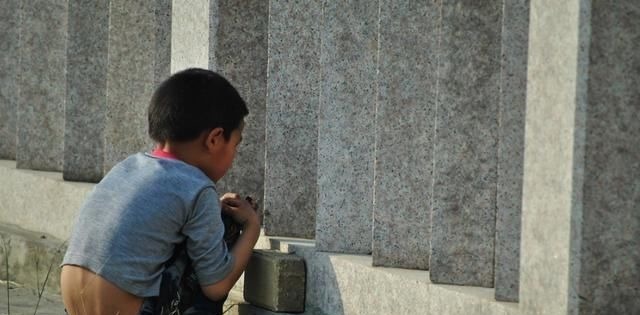 脾胃|健脾“扛把子”出现了,不是山楂和陈皮,孩子若爱吃,健脾长高个