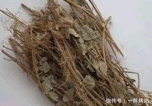 高尿酸|痛风?高尿酸血症?望羊肉、海鲜兴叹?中药治疗痛风,了解下!